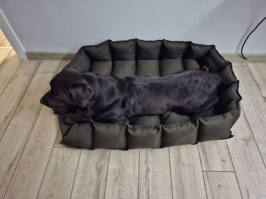 Лежанка для больших собак