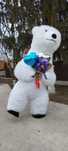 Urs gonflabil polar  mascota gonflabila cu baterie