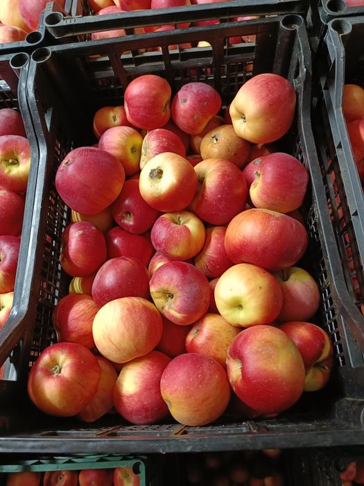 Mere de vânzare pentru consum