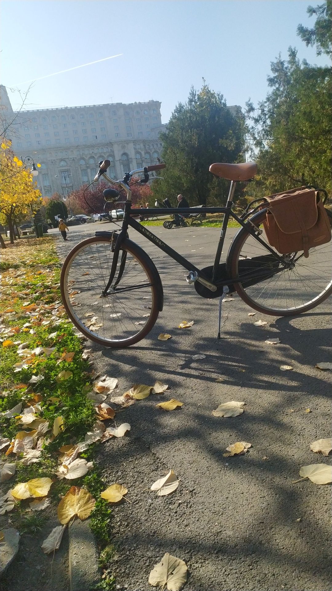 Bicicleta vintage Adriatica Italia