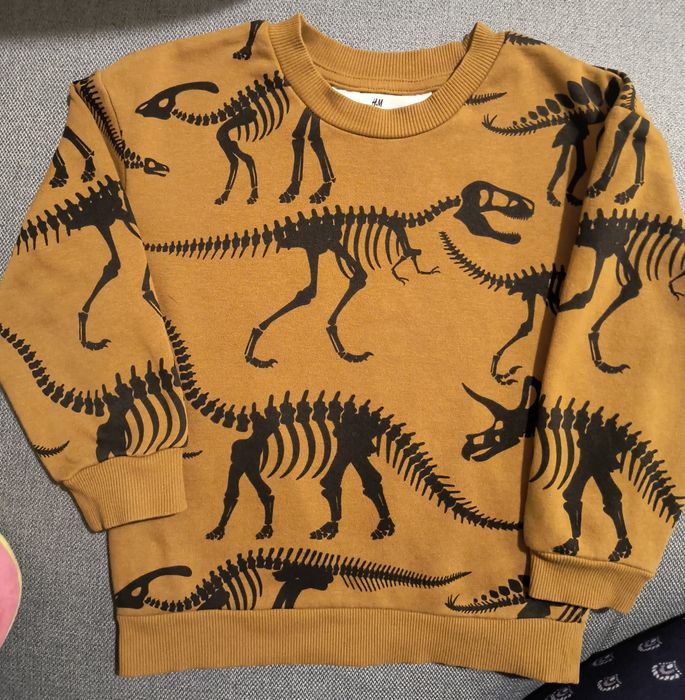 Bluza din molton H&M, mărimea 98/104