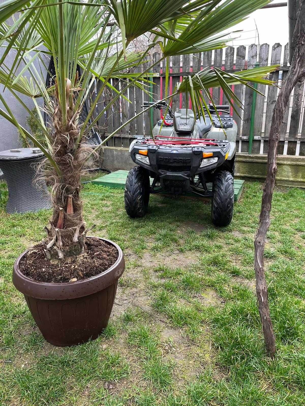 Polaris sportsman 90 copii ATV