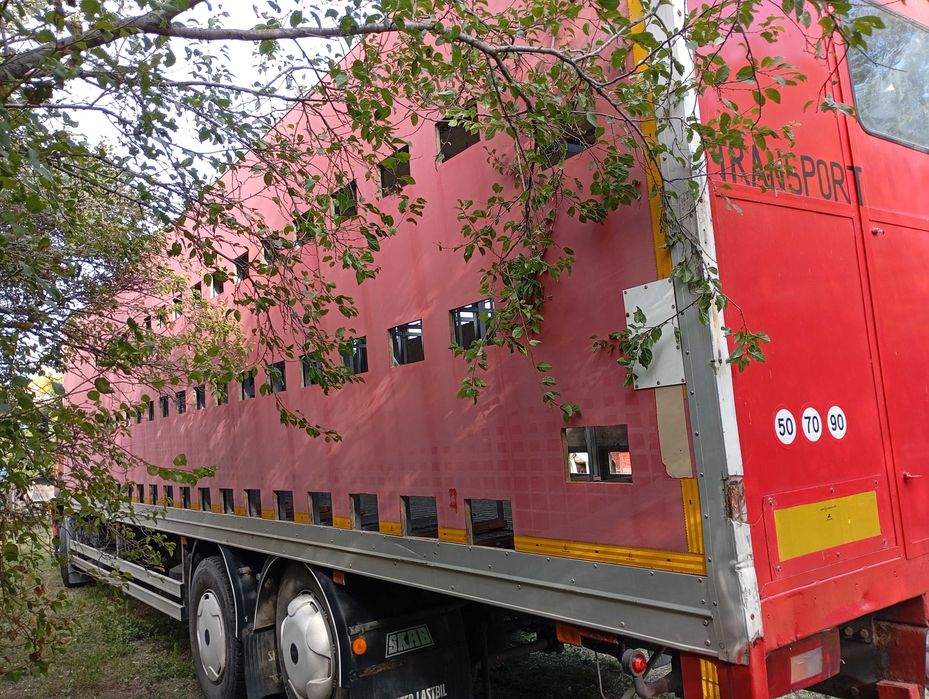 Pavilion apicol,container depozitare