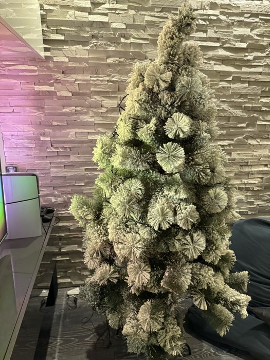 Елха 3 Д заскрежена