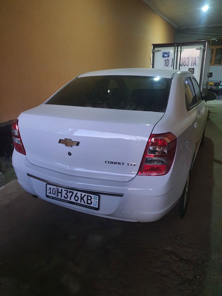 Yangi coblt 2024