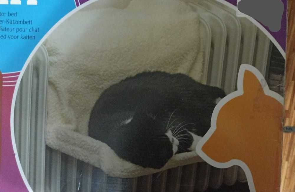 Кровать-лежанка для кошек у батареи
