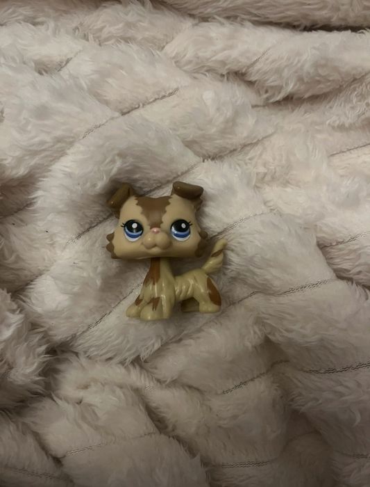 Collie Kitten Dihor Figurine Littlest Pet Shop Lps Generația 7 Wave 4