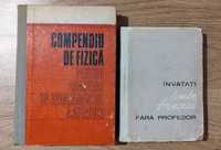 Carte veche dictionar engleza compendiu fizica franceza fara profesor