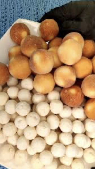 Капченный Курт Астана