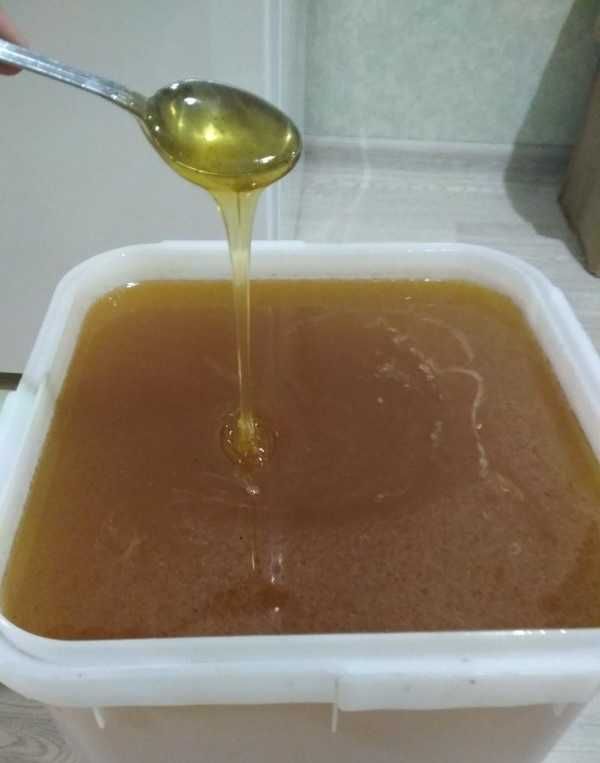Алтайски мёд оптом