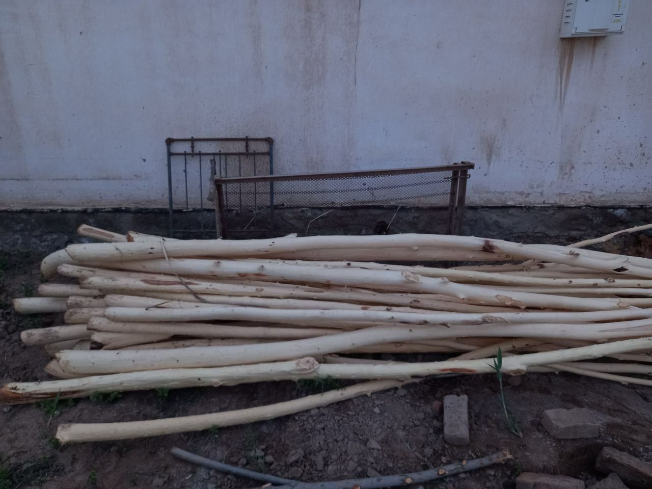 Қадалар бар сатылатуғын