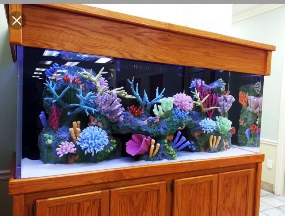 Обслуживание аквариумов дизайни оформления аквариумов