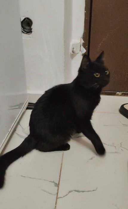 Трогательная малышка ищет дом