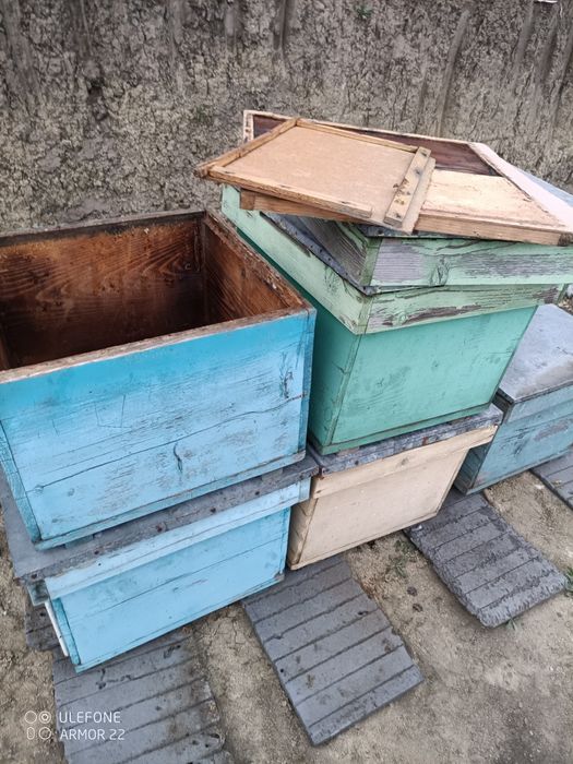 Stupi 12 rame albine