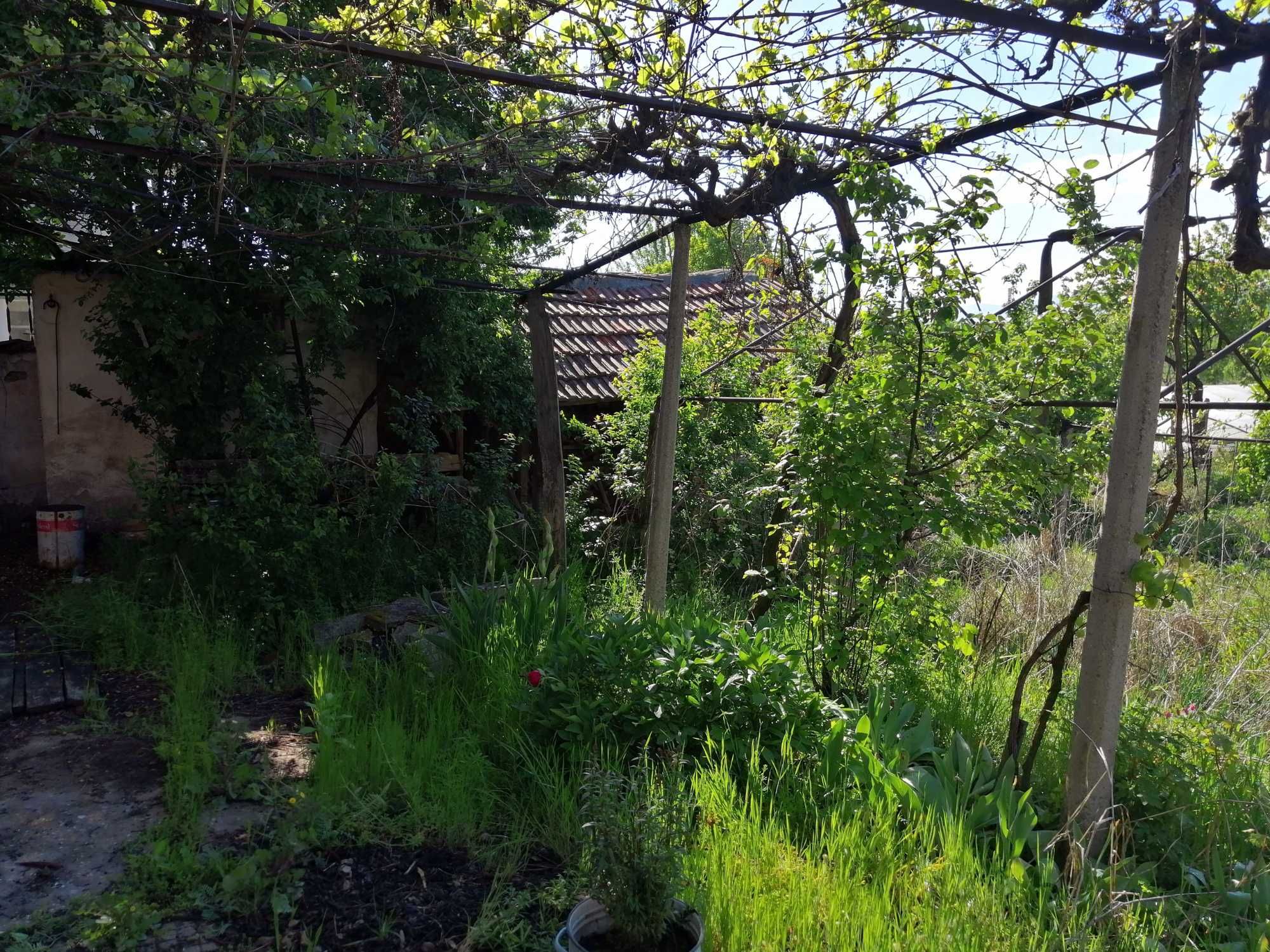 Самостоятелна къща с двор над 850 м2 в село Говедаре