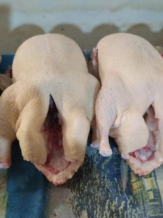 Продам гусиное мясо. 1 шт- 13000. В независимости от веса.