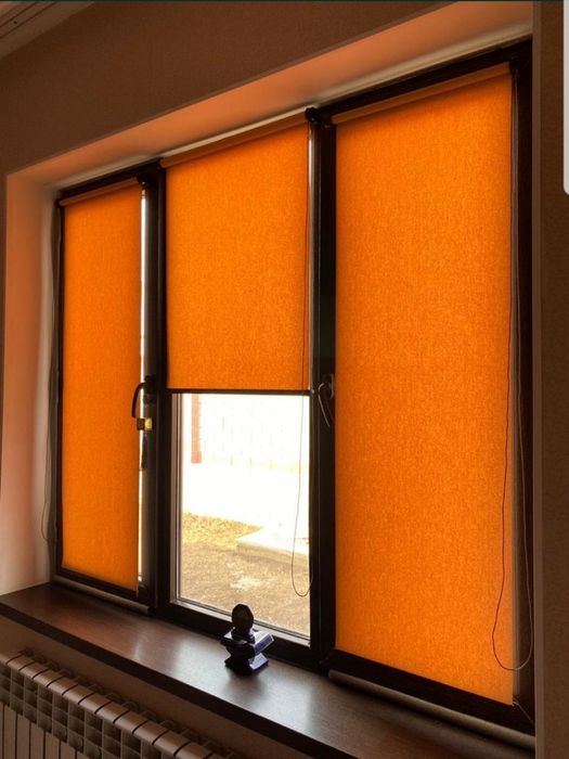 Жалюзи Ролл шторы день-ночь, плессе, дуэт, горизонтальные, кассетные.