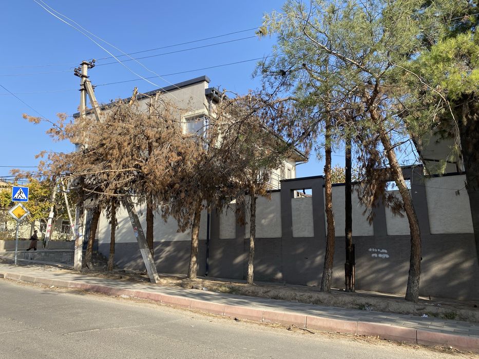 Oʻtin sotiladi archaniki