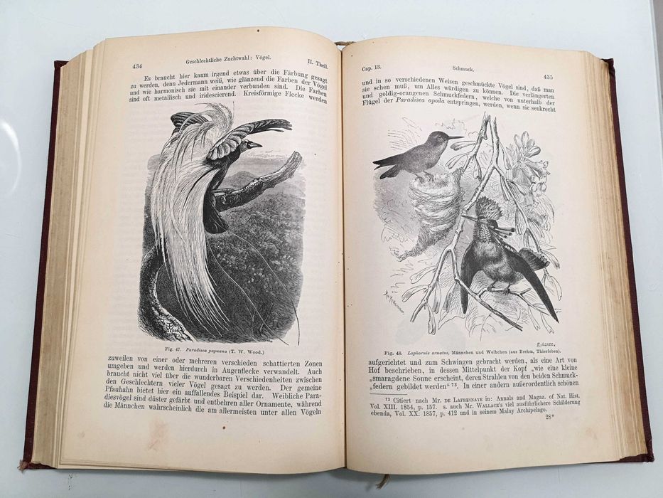 Carte veche lb. Germana