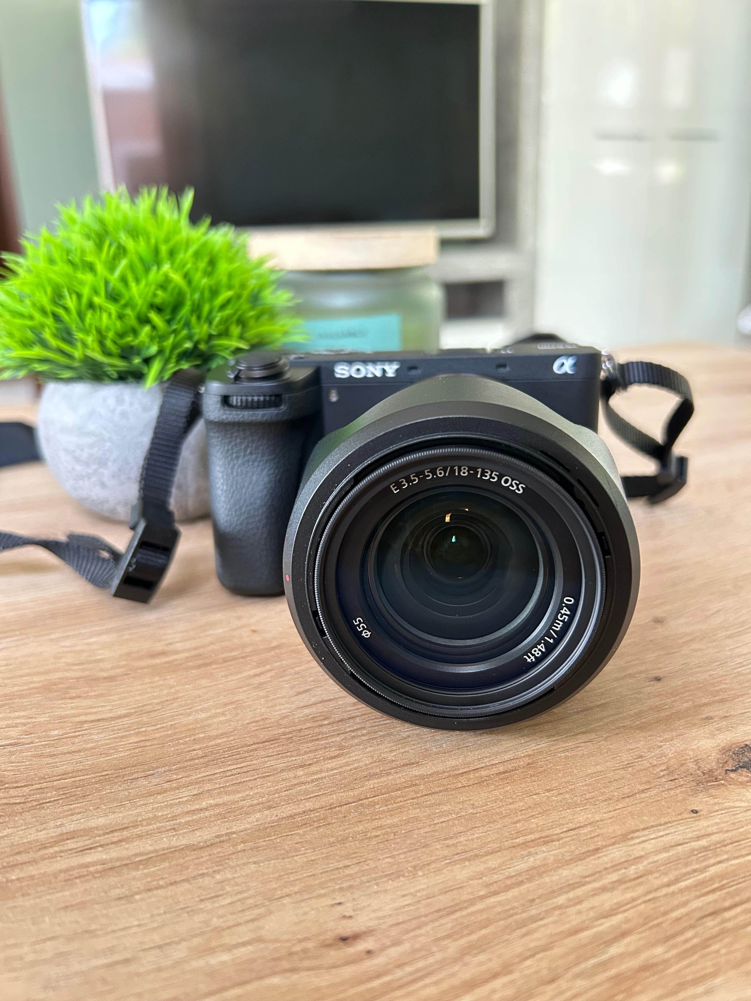 Sony a6700 + 18-135 OSS