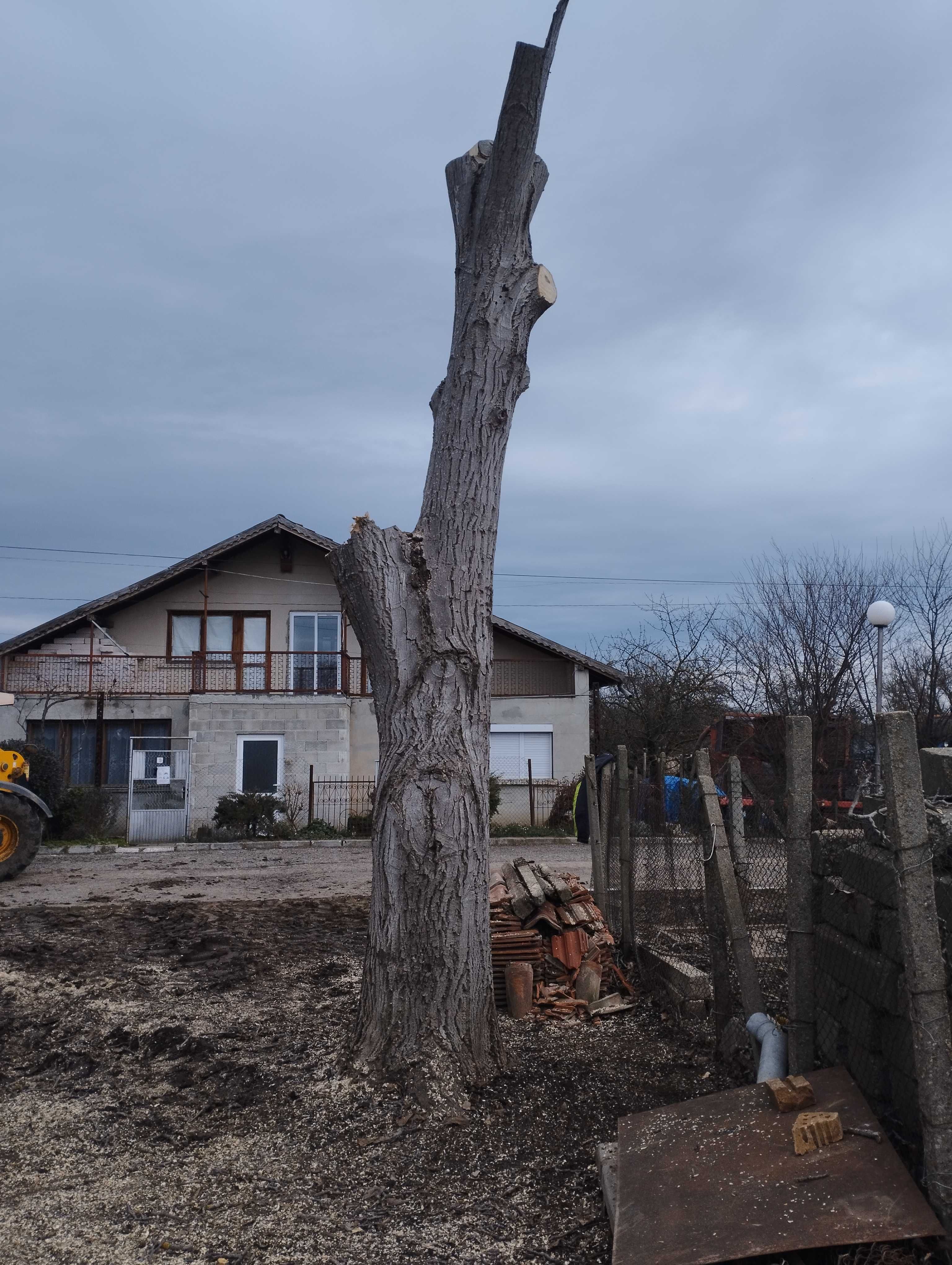 Продавам орехово дърво