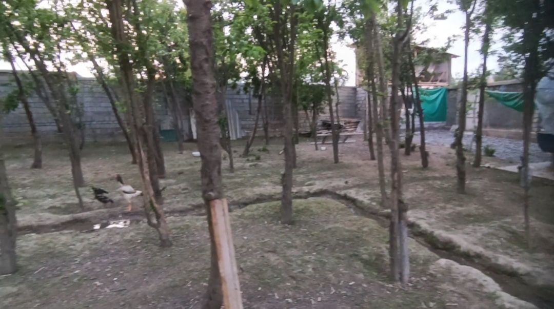 Boz suv Senterda 3-4 sotik yer sotiladi