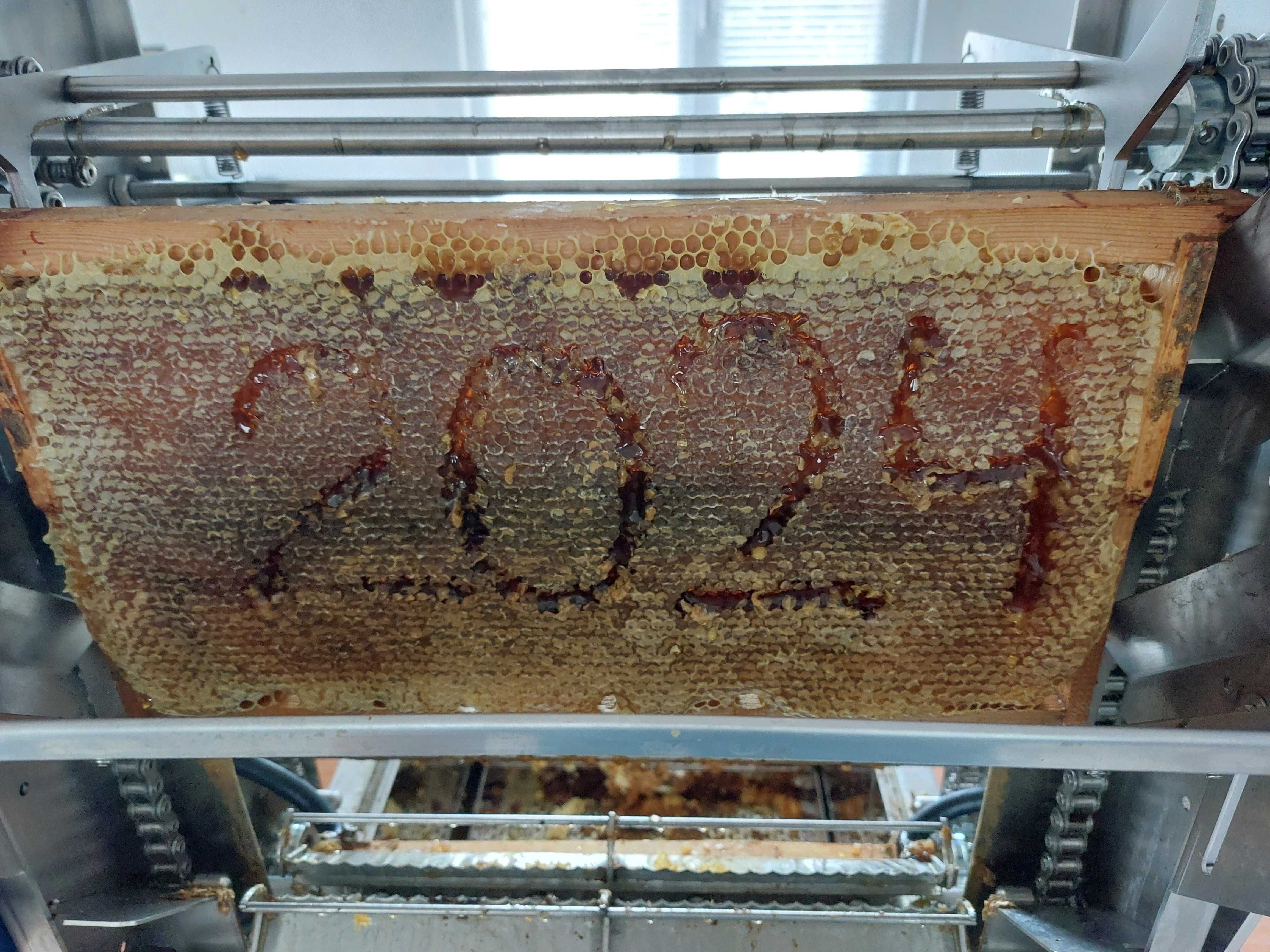 Пчелен мед 2025 на едро