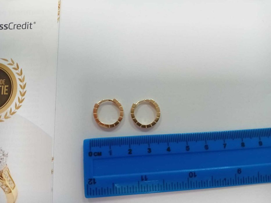 (Ag33) Cercei Aur 14K