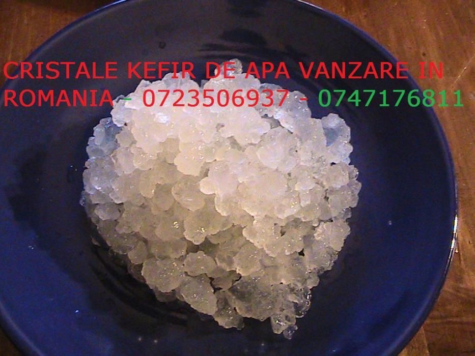 Cristale Japoneze, Kefir de apa, Chefir apa, Kefir bio pt 1 litru 100L