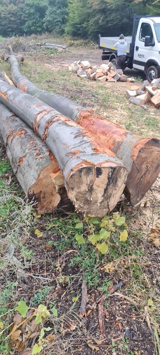 Lemn de foc esență tare