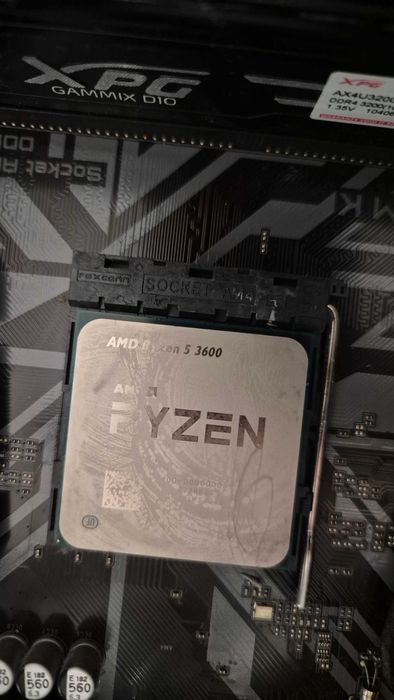 AMD Ryzen 5 3600