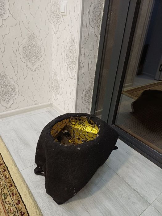 Genra laceti stel gazga mos