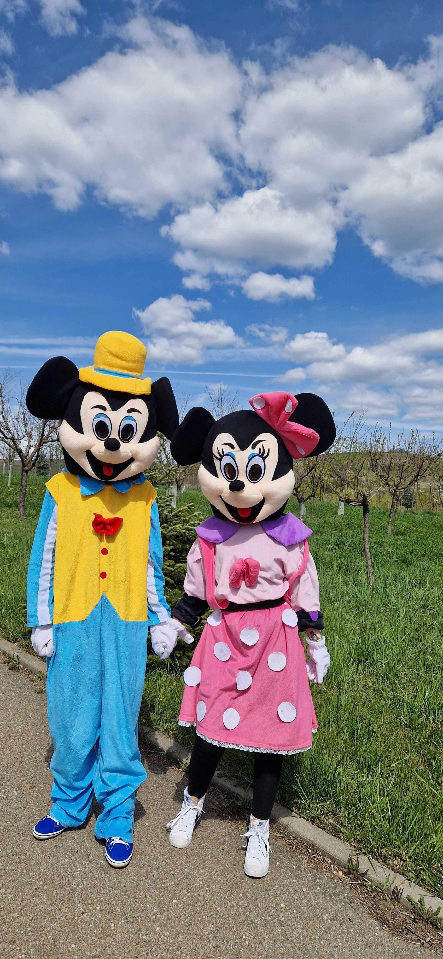 Mickey&Minnie de inchiriat Oradea