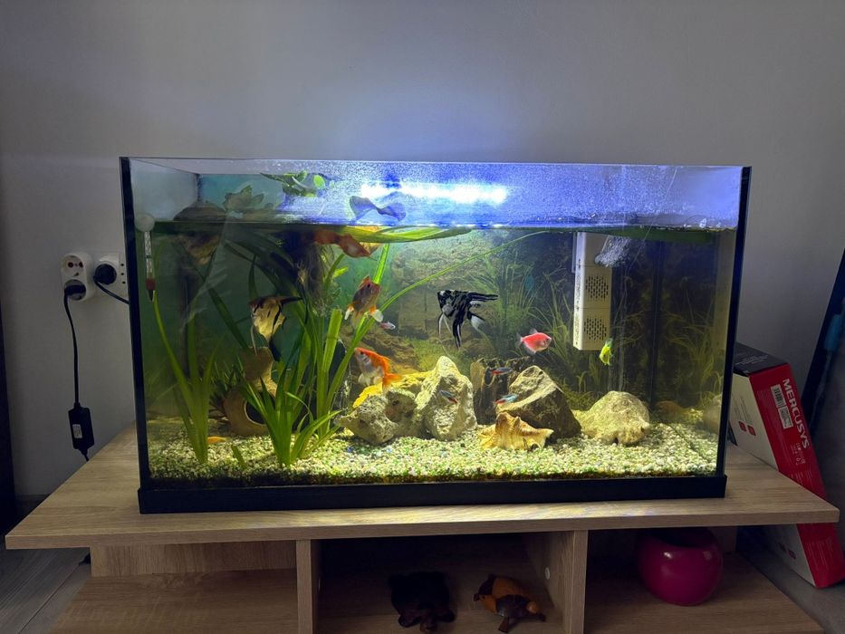 Acvariu 126 litri cu capac