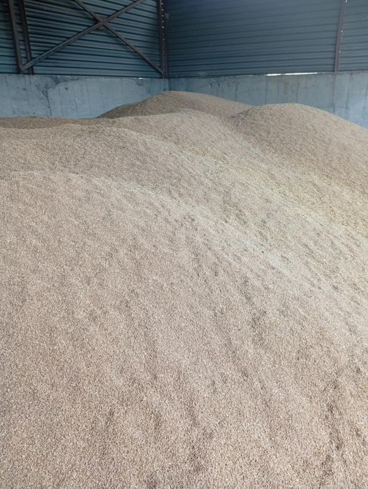 Продавам пшеница