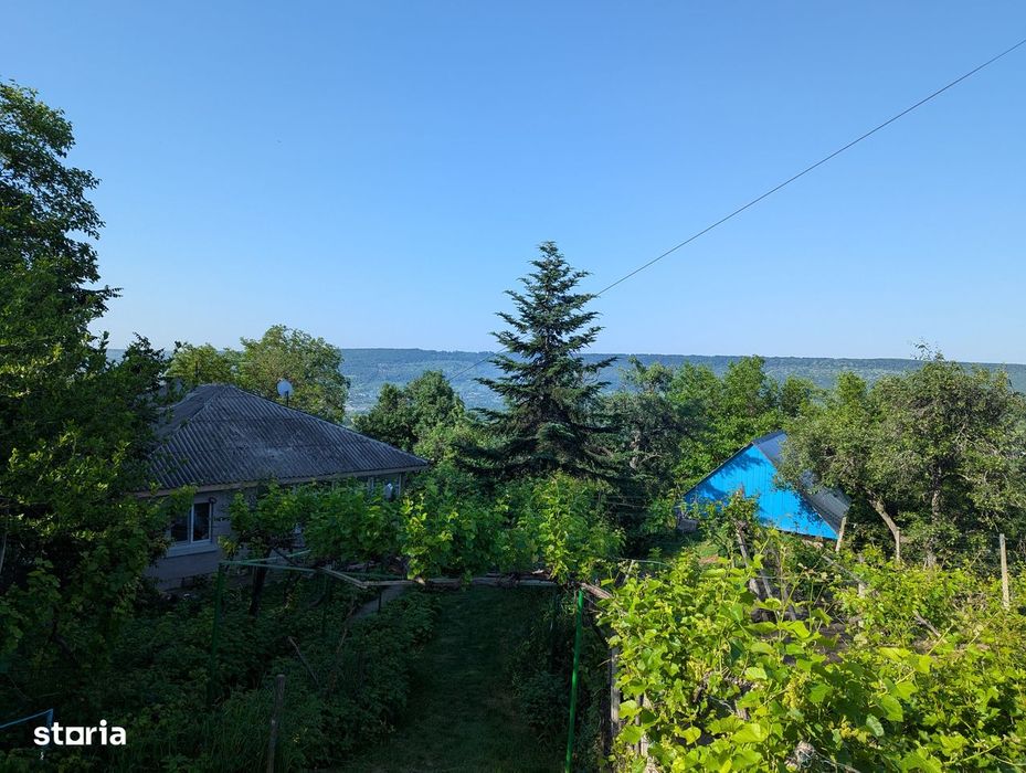 Casa + teren (gradina, vie si livada)