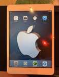 iPad Mini 1st Gen Apple