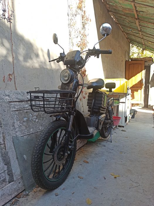 Velik sotiladi narxi 1 milion 700. ming