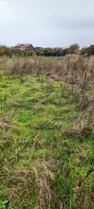 teren intravilan Mihailesti