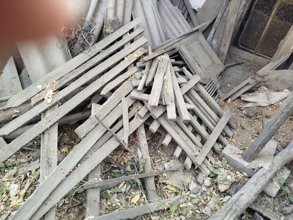 O'tin sotaman - mevali daraxtlar