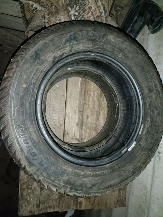 Продам шины  марки Alga на 14