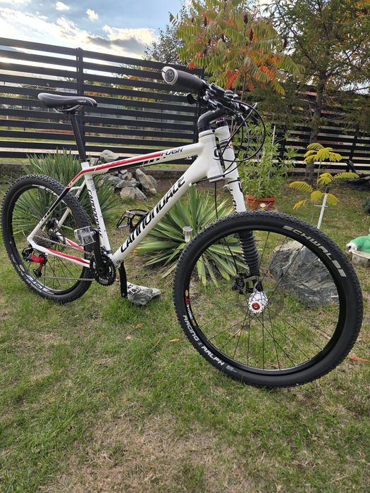 MTB Cannondale Lefty Flash