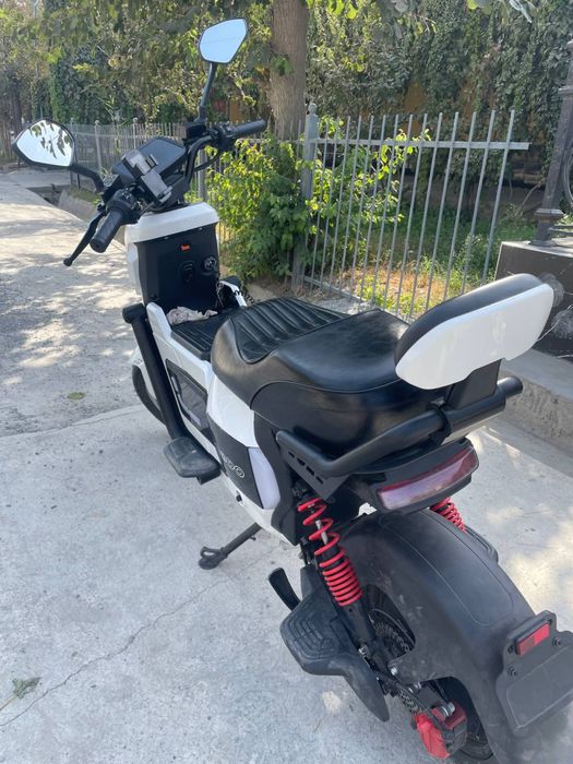 Skiter Bodo u2 Model