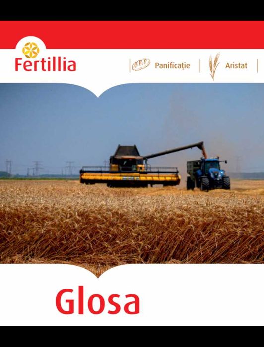 Seminte Grau de Toamna Glosa Baza, 500 kg, Fertillia