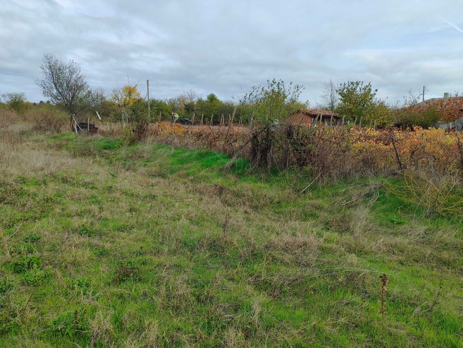 Голям парцел във Ведрина