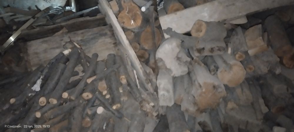 Oʻtin bor arzonga beramiz bemanlol xammasi 1moshina liq toladi