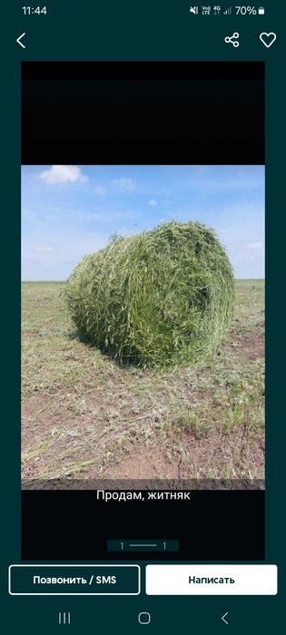 Продам сено в рулонах