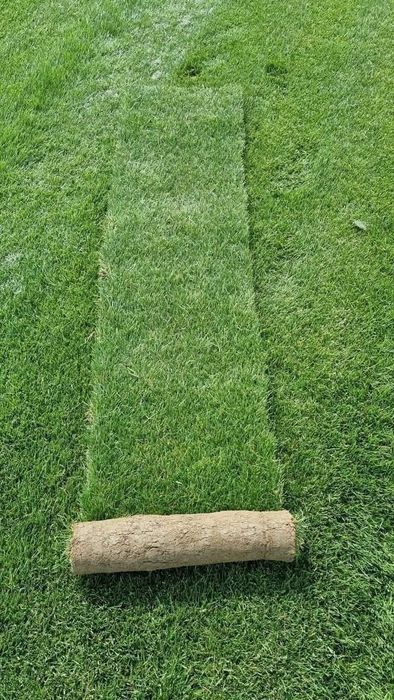 Pachet gazon +montaj 50 ron