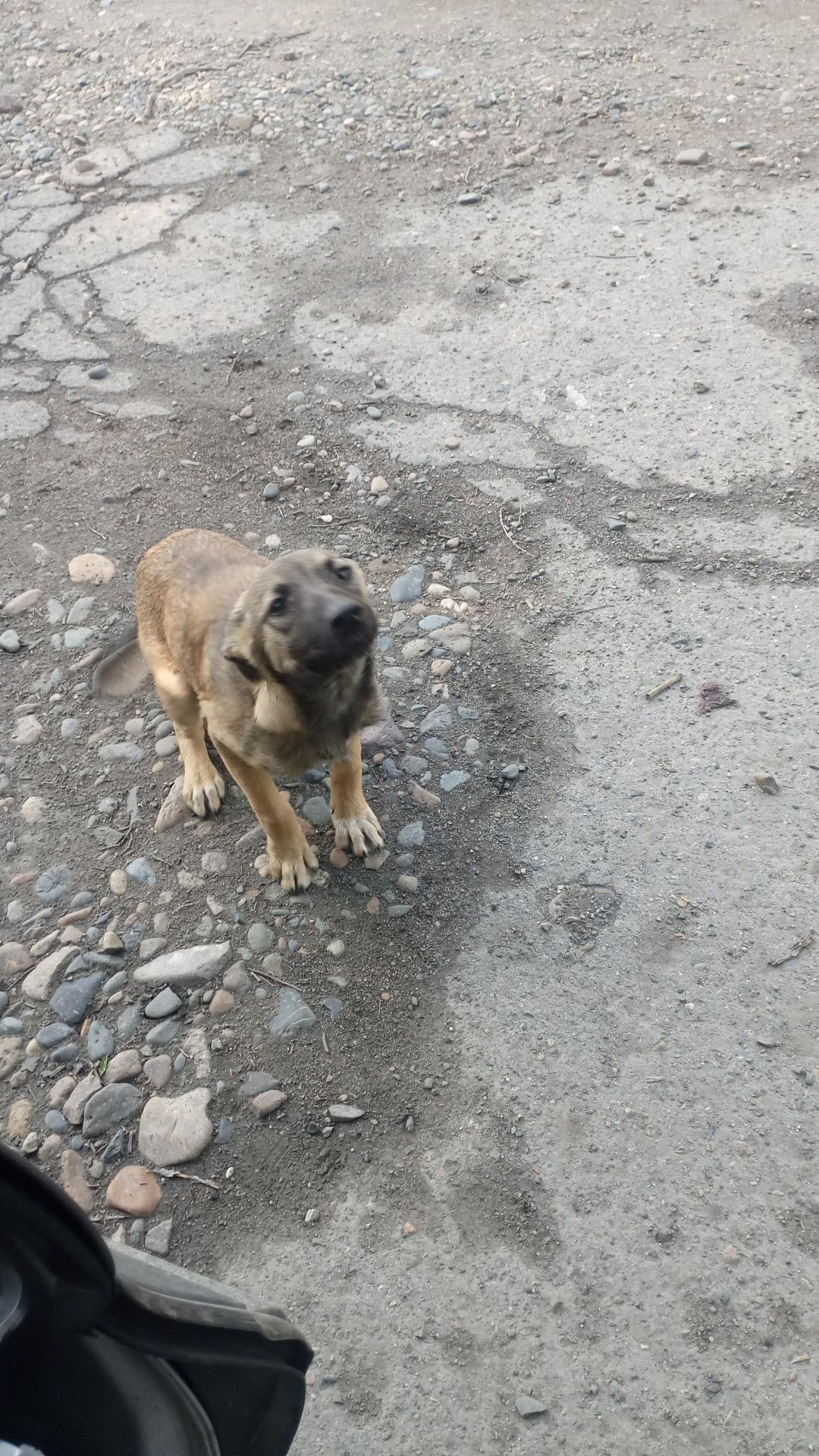 Малышка ищет дом