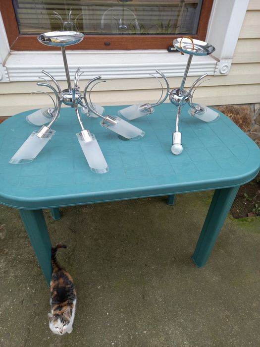 Полилей с пет чашки плюс още един подарък.